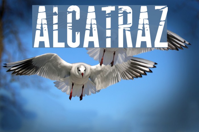 ALCATRAZ Example 3