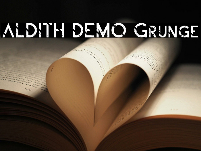 ALDITH DEMO Grunge Example 1