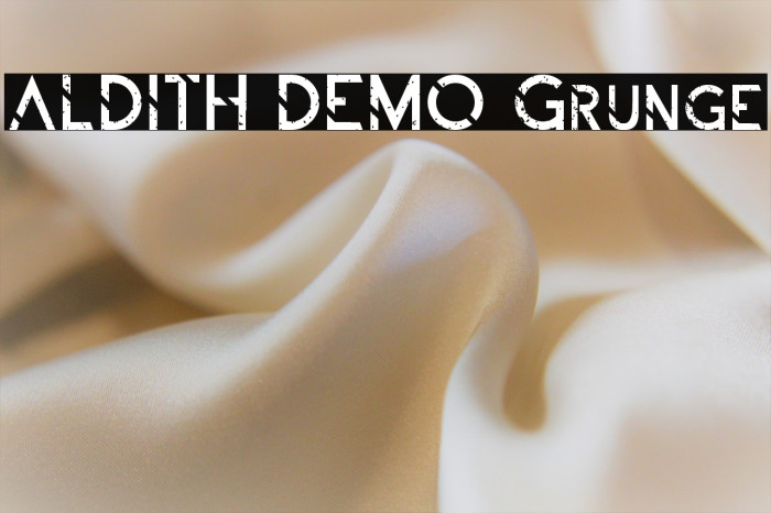 ALDITH DEMO Grunge Example 2