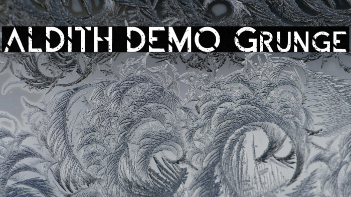 ALDITH DEMO Grunge Example 3