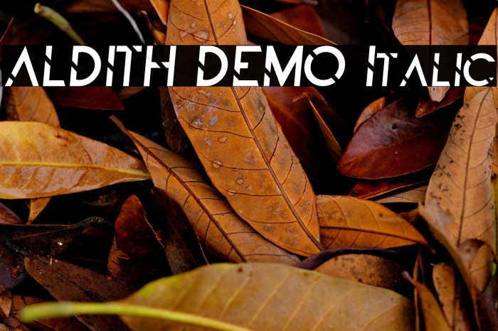 ALDITH DEMO Italic Example 2