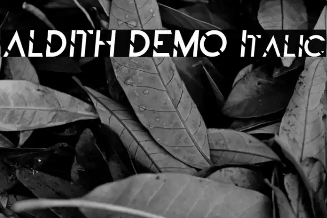 ALDITH DEMO Italic Font examples