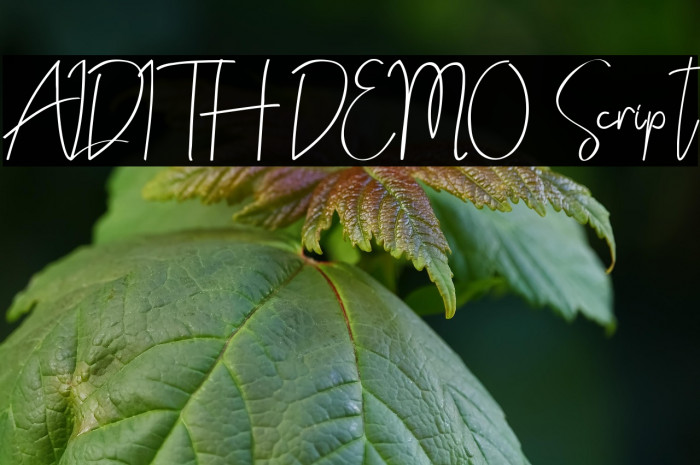 ALDITH DEMO Script Example 1