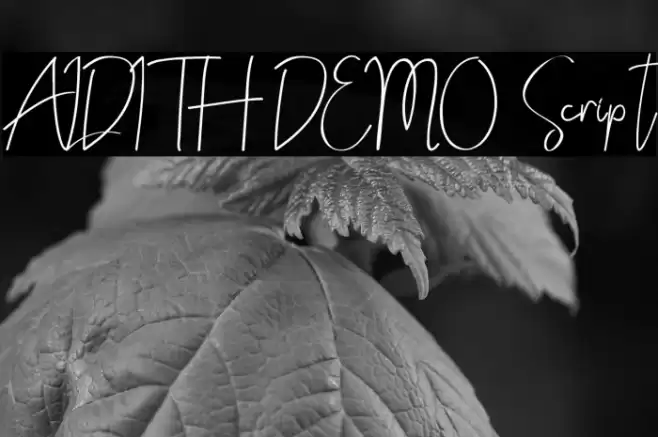 ALDITH DEMO Script Font examples
