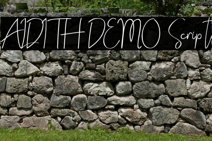 ALDITH DEMO Script Example 2