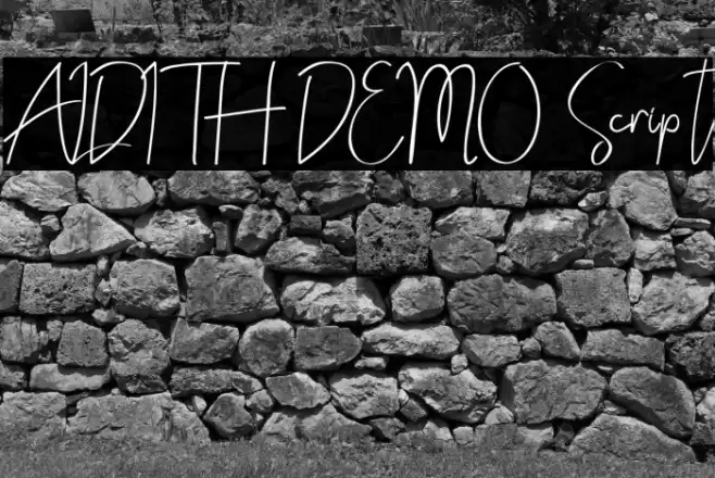 ALDITH DEMO Script Font examples