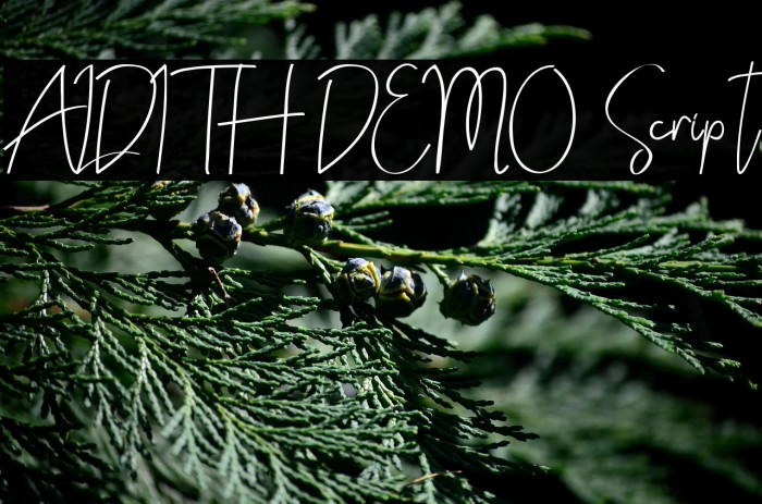 ALDITH DEMO Script Example 3