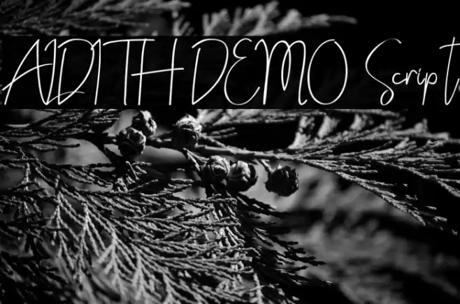 ALDITH DEMO Script Font examples