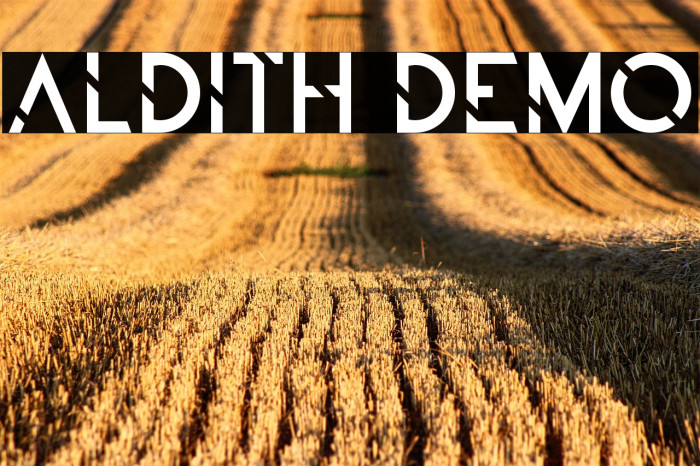 ALDITH DEMO Example 1