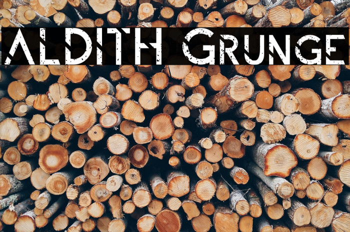 ALDITH Grunge फ़ॉन्ट examples