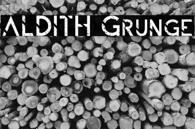 ALDITH Grunge Font examples