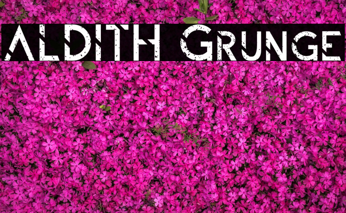 ALDITH Grunge फ़ॉन्ट examples