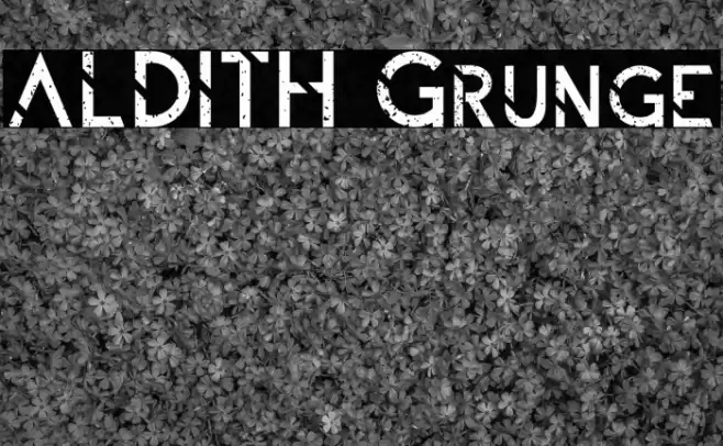 ALDITH Grunge Font examples