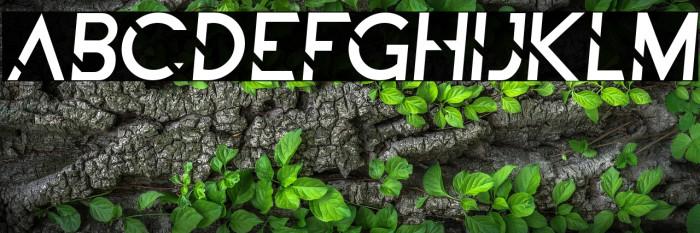 ALDITH Italic Example 1