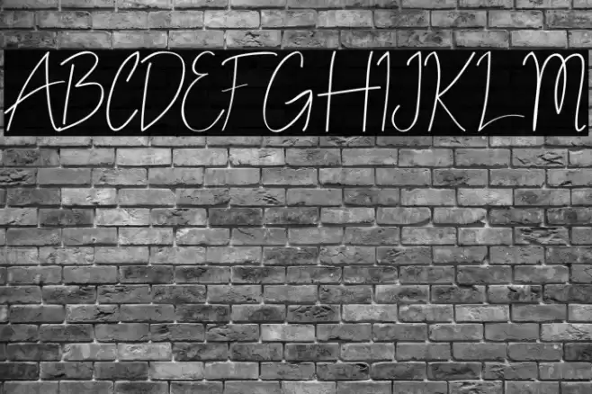 ALDITH Script Font examples