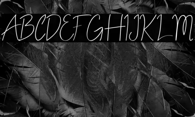 ALDITH Script Font examples