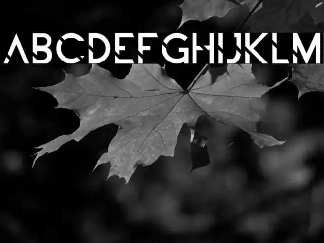 ALDITH Font examples