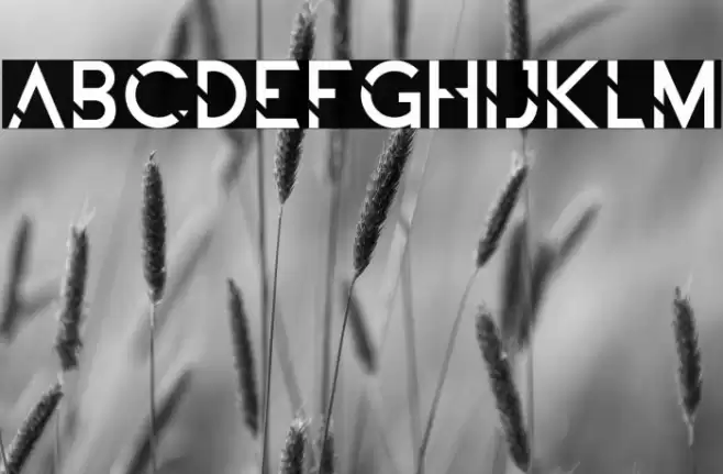 ALDITH Font examples