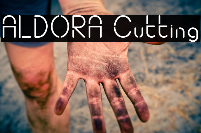 ALDORA Cutting Font examples