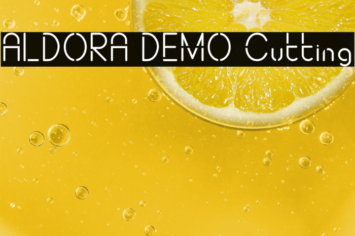 ALDORA DEMO Cutting Example 1