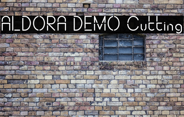 ALDORA DEMO Cutting Example 2