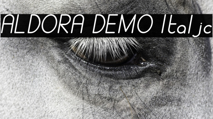 ALDORA DEMO Italic Example 1