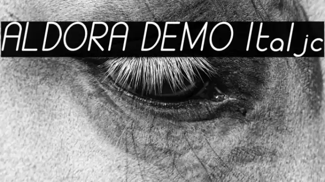 ALDORA DEMO Italic Caratteri examples