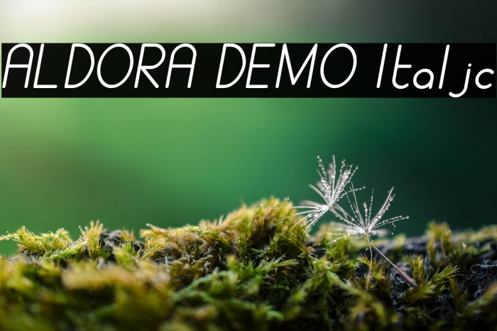 ALDORA DEMO Italic Example 2