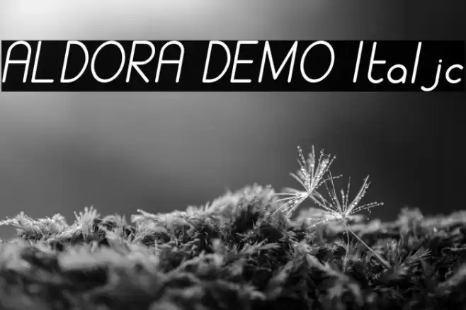 ALDORA DEMO Italic Caratteri examples