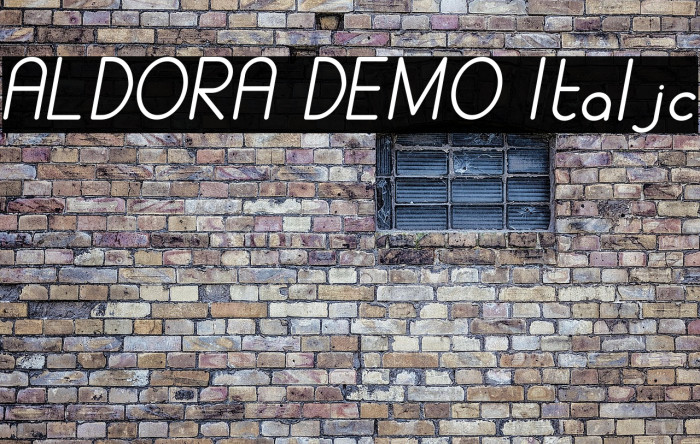 ALDORA DEMO Italic Example 3