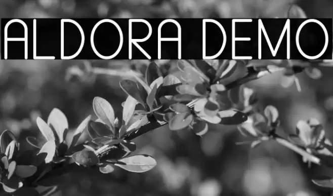 ALDORA DEMO Caratteri examples