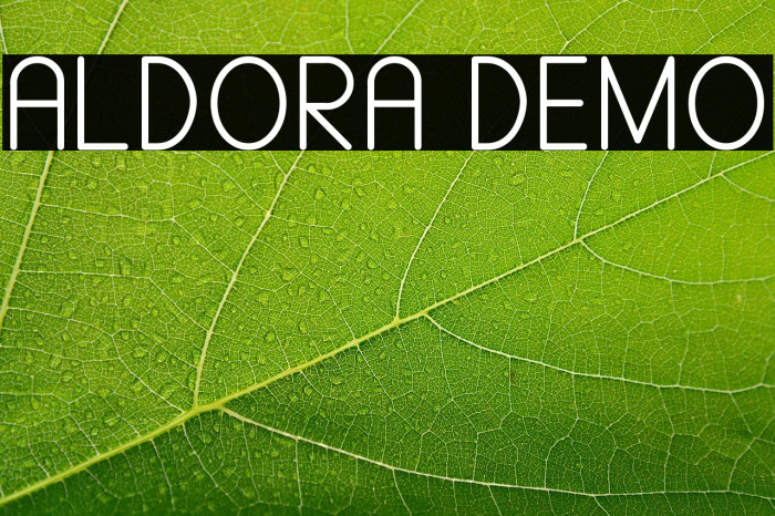 ALDORA DEMO Example 3