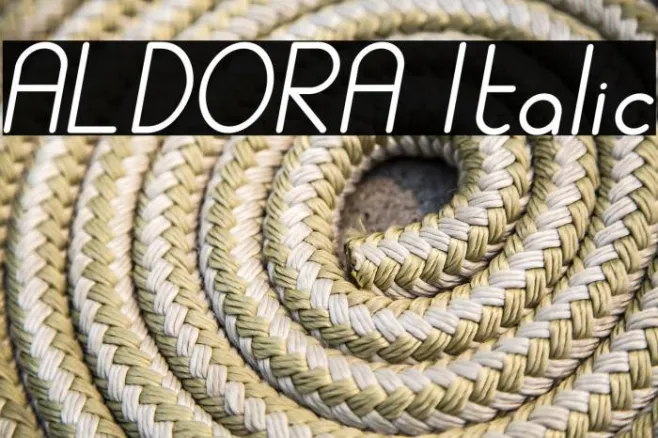 ALDORA Italic Example 1