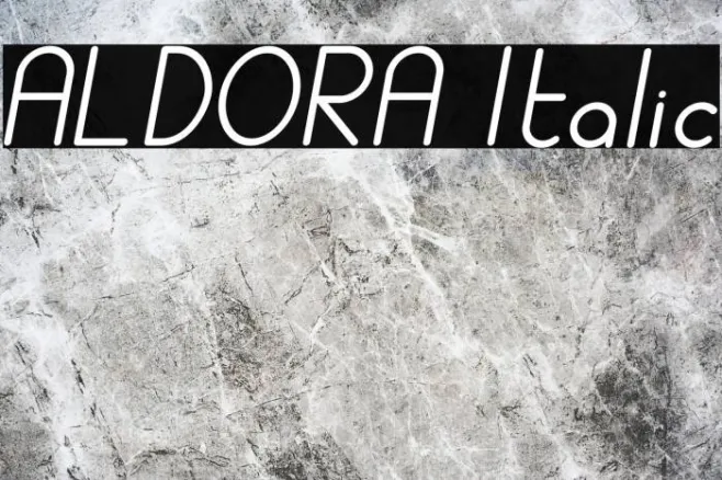 ALDORA Italic Example 3