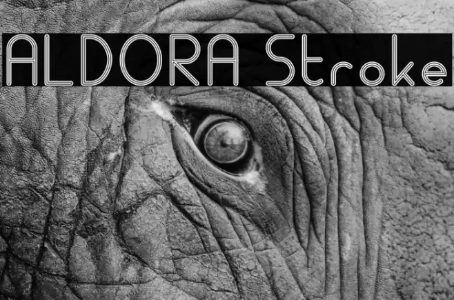 ALDORA Stroke Font examples