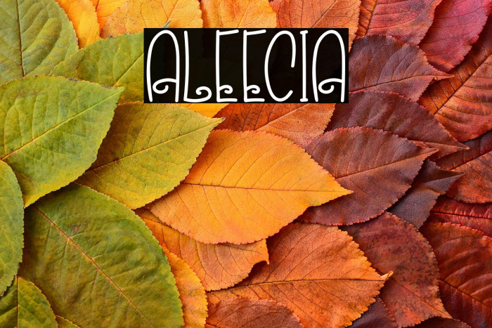 ALEECIA Example 2