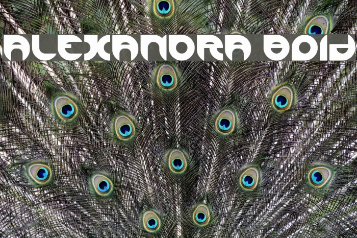 ALEXANDRA Bold Font examples