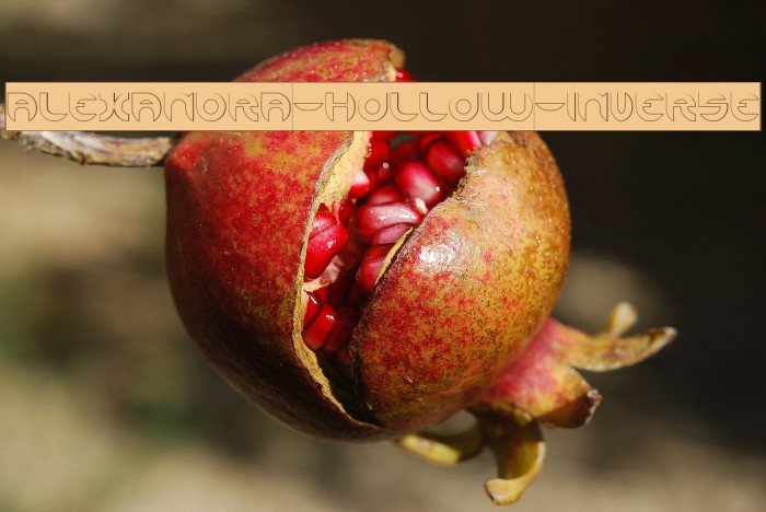 ALEXANDRA-HOLLOW-INVERSE Font examples