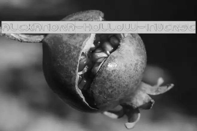 ALEXANDRA-HOLLOW-INVERSE Font examples