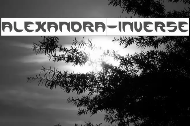 ALEXANDRA-INVERSE Font examples