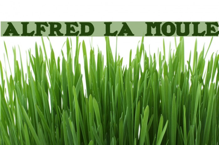 ALFRED LA MOULE Font examples
