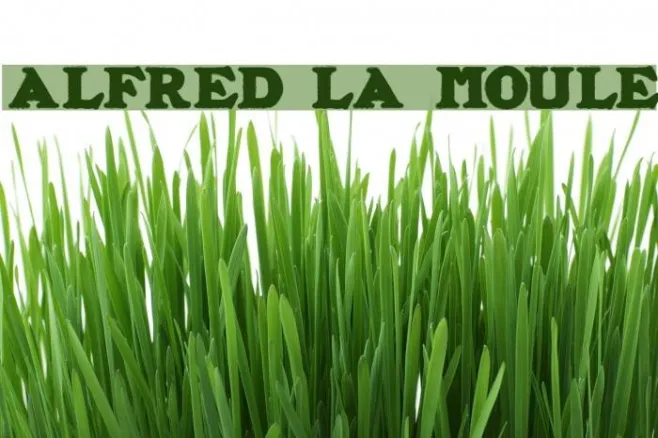 ALFRED LA MOULE Example 3