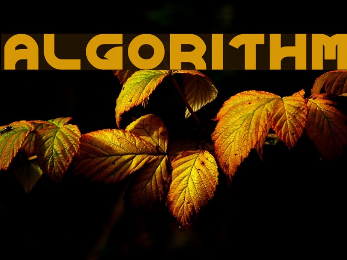 ALGORITHM Font examples