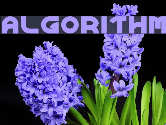 ALGORITHM Font examples