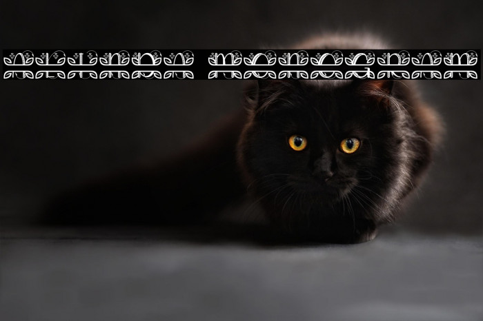 ALINDA MONOGRAM Example 2