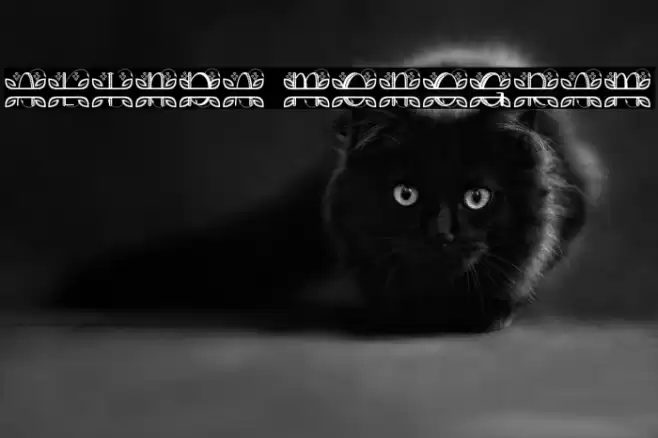 ALINDA MONOGRAM Font examples