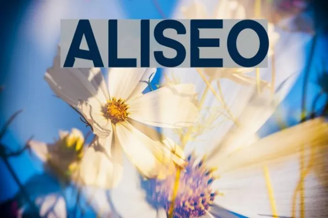 ALISEO Example 1