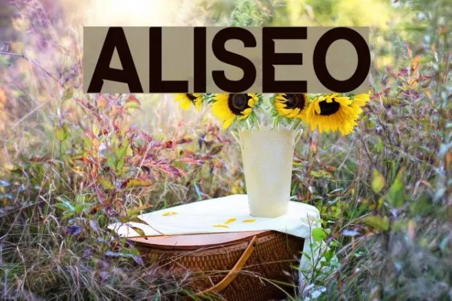 ALISEO Example 2