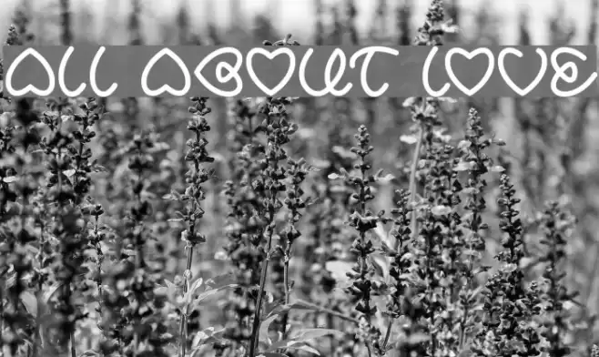 ALL ABOUT LOVE Font examples