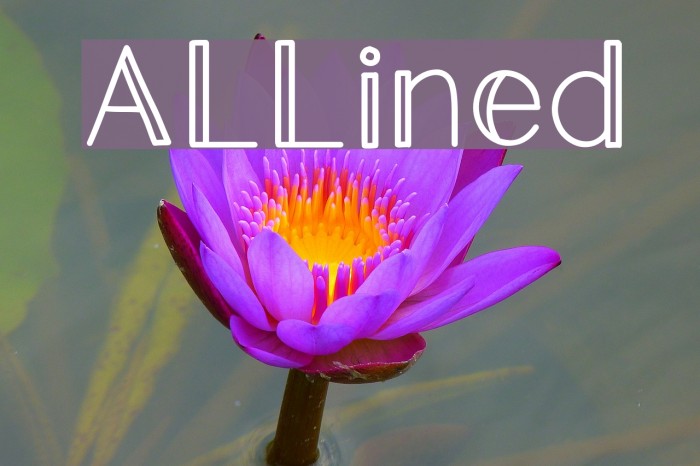 ALLined Font examples